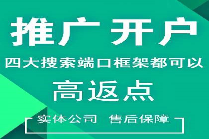 深入了解SEM代运营服务公司的策略与技巧